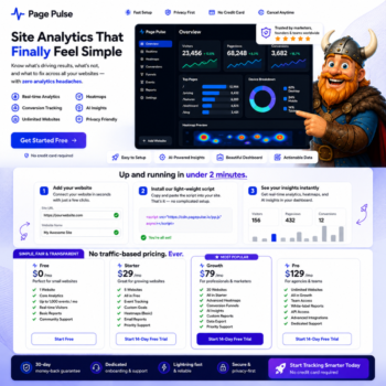 Page Pulse Review 2026 – AI Website Analytics Dashboard with VikingDeal